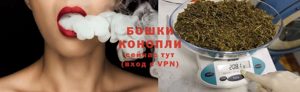 хмурый Верея