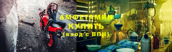 хмурый Верея