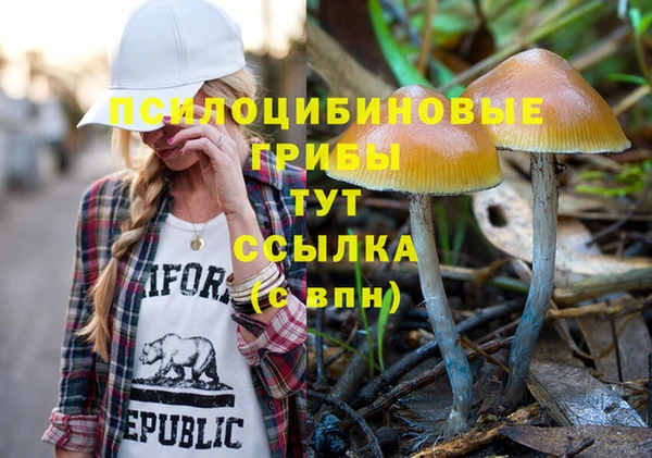 mdpv Бугульма