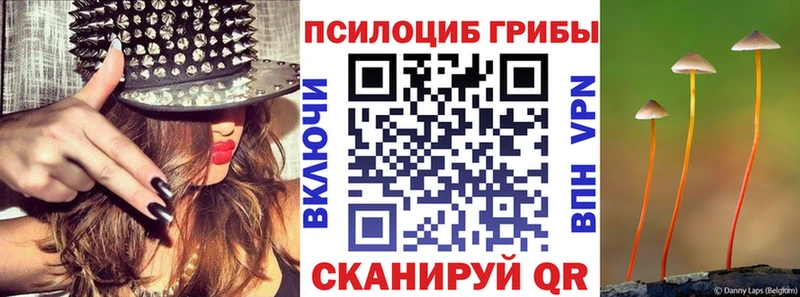Галлюциногенные грибы Cubensis  Вольск 