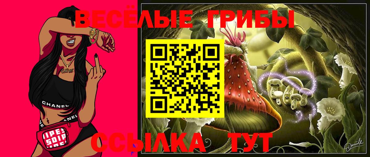 Вольск  Галлюциногенные грибы Cubensis  наркота  Вход с VPN  Псилоцибиновые грибы ЛСД 