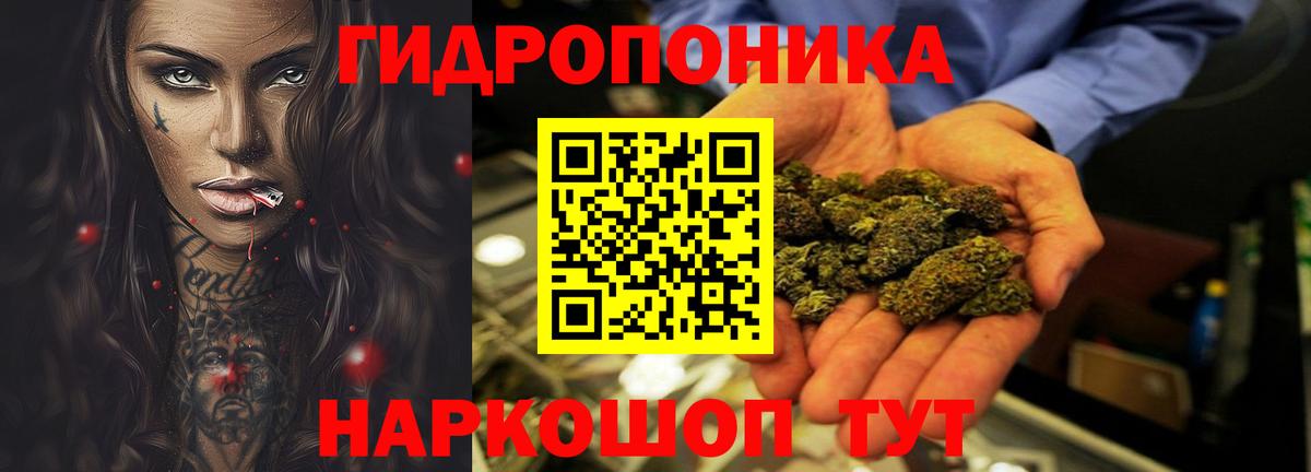 Конопля планчик  Канабис Amnesia  Канабис MAZAR  Вход с VPN  Бошки марихуана SATIVA & INDICA  Вольск 